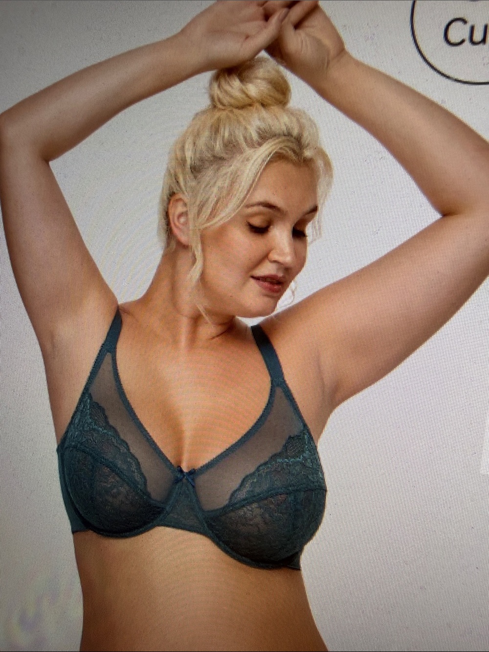 NWT Enchante Unlined Non Padded Lace Underwire Bra 38DDD Balsam Blue Comfortable